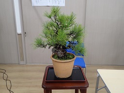 写真2